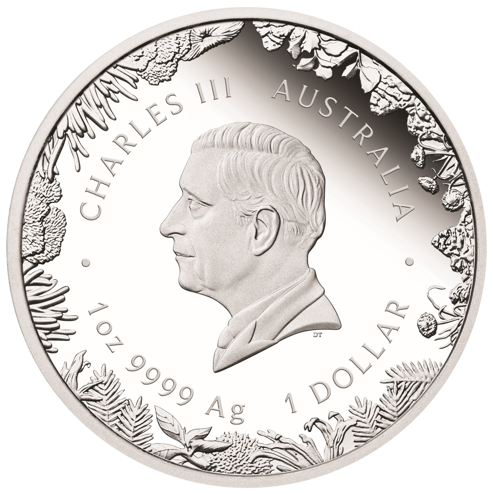 NEW RELEASE - Wonders of Australia - The Outback 2026 1oz Silver Proof Coin