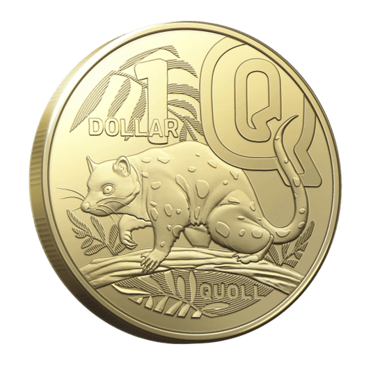 2022 GREAT AUSSIE COIN HUNT 3 - LETTER Q - QUOLL - CIRCULATED $1 COIN