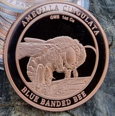 1 Ounce Copper Round - Australian Blue Banded Bee Coin - Amegilla Cingulata
