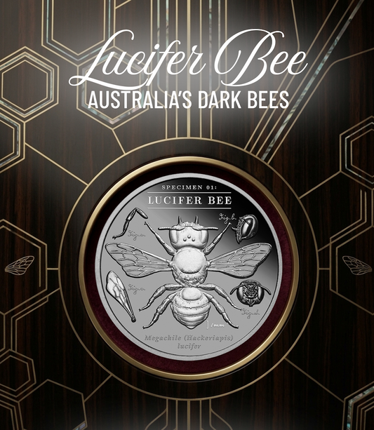 NEW RELEASE - Australia's Dark Bees - 2026 Lucifer Bee 2oz Black Proof Coin