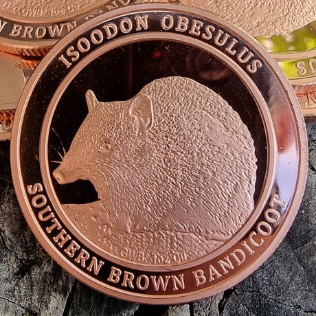Australian Native Flora & Fauna Series 1 oz copper bullion - SOUTHERN BROWN BANDICOOT
