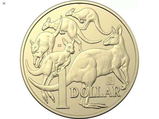 2019 PRIVY MARK S - CIRCULATED $1 COIN
