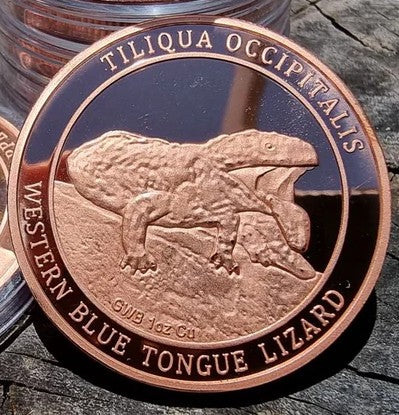 Australian Native Flora & Fauna Series 1 oz copper bullion - WESTERN BLUE TONGUE LIZARD